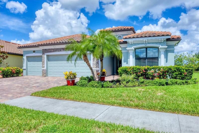 The house with its lawn and palm